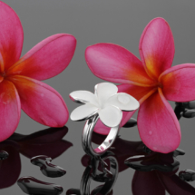 Mauritius jewellery collection by Zea