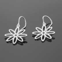 Fun silver earrings Mauritius