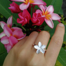 Frangipani ring Mauritius