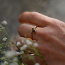 9ct gold ring with a Sapphire and diamond