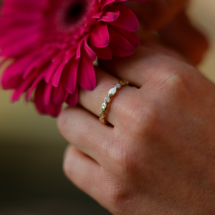 9ct yellow gold ring with diamonds.