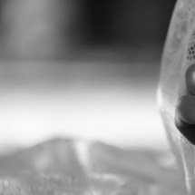 Zea wedding rings